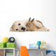 Golden Retriever Puppy Wall Decal