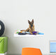 Very Busy German Shepherd