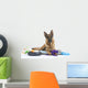 Very Busy German Shepherd