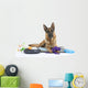 Very Busy German Shepherd