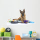Very Busy German Shepherd