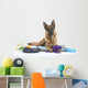 Very Busy German Shepherd