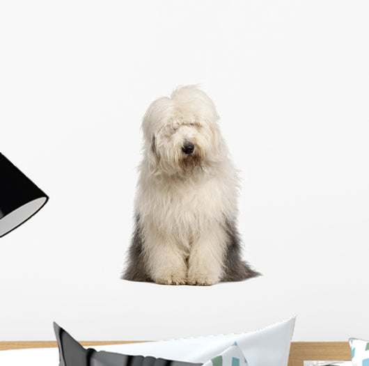 Old English Sheepdog 2 Wall Decal
