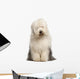 Old English Sheepdog 2 Wall Decal