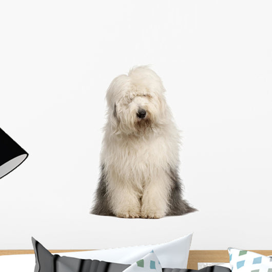 Old English Sheepdog 2 Wall Decal