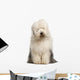 Old English Sheepdog 2 Wall Decal