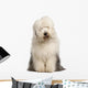 Old English Sheepdog 2 Wall Decal