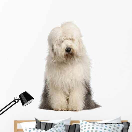 Old English Sheepdog 2 Wall Decal