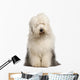 Old English Sheepdog 2 Wall Decal