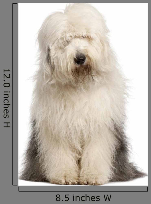 Old English Sheepdog 2 Wall Decal