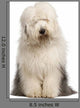 Old English Sheepdog 2 Wall Decal