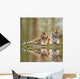Beautiful Image Tigress Relaxing Wall Mural