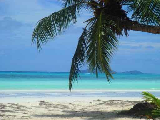 Seychelles Wall Decal Design 2