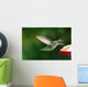 Humming Bird