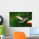 Humming Bird