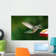 Humming Bird