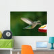 Humming Bird
