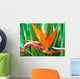 strelitzia reginae, oiseau de paradis, strÃ©litzia Wall Mural