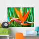 strelitzia reginae, oiseau de paradis, strÃ©litzia Wall Mural