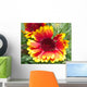 Rudbeckie Rudbeckia Wall Mural