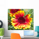 Rudbeckie Rudbeckia Wall Mural