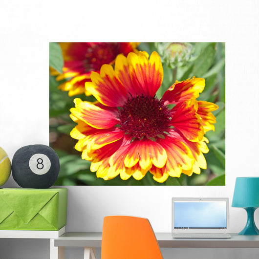 Rudbeckie Rudbeckia Wall Mural