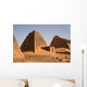group of pyramids at meroe sudan Wall Mural