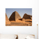 group of pyramids at meroe sudan Wall Mural