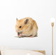 Male Hamster Eating Sunflower Seeds over White Background Wall Decal