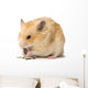 Male Hamster Eating Sunflower Seeds over White Background Wall Decal
