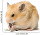 Male Hamster Eating Sunflower Seeds over White Background Wall Decal