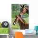 Mother and Foal