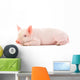 Pig on White Wall Decal