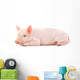 Pig on White Wall Decal