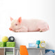 Pig on White Wall Decal