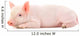 Pig on White Wall Decal