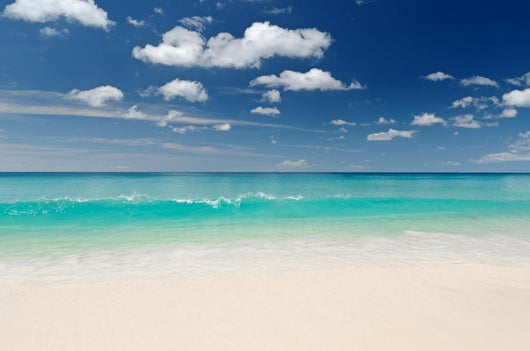 Beach Wall Mural