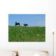 Freedom Wall Decal