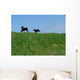 Freedom Wall Decal