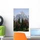Alpine Trees and Mountain Wall Mural