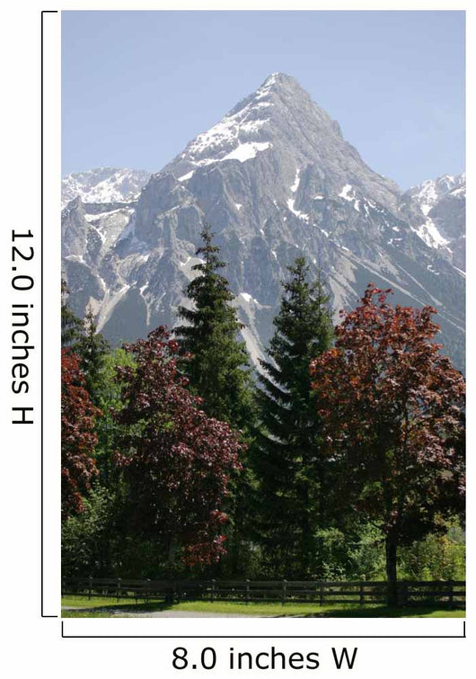 Alpine Trees and Mountain Wall Mural