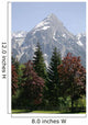 Alpine Trees and Mountain Wall Mural