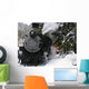 Steam Locomotive Snow