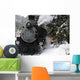 Steam Locomotive Snow