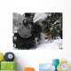 Steam Locomotive Snow