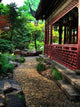 Shanghai Yu-yuan Gardens Wall Decal