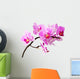 Isolated Orchid Wall Decal