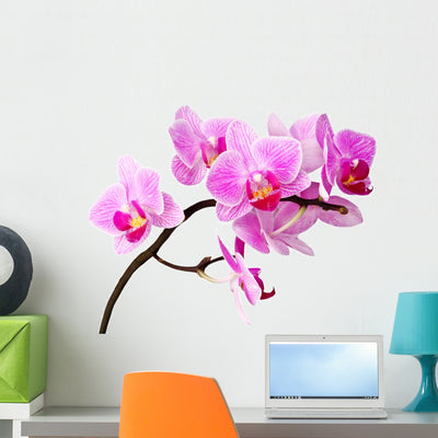 Purple Orchid Wall Decal shown on a wall