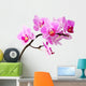 Isolated Orchid Wall Decal