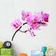 Isolated Orchid Wall Decal